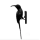 Growing Places to Belong – Connecting Plants, Birds and People avatar